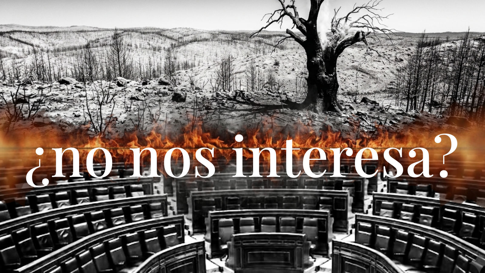 De verdad que no nos interesa?|Es injustificable que un político pueda decir alegremente que un gran pacto de las fuerzas políticas es algo que no interesa a la ciudadanía